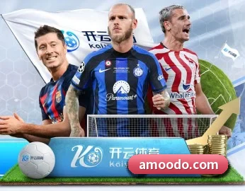 半岛网页版登录入口的故事